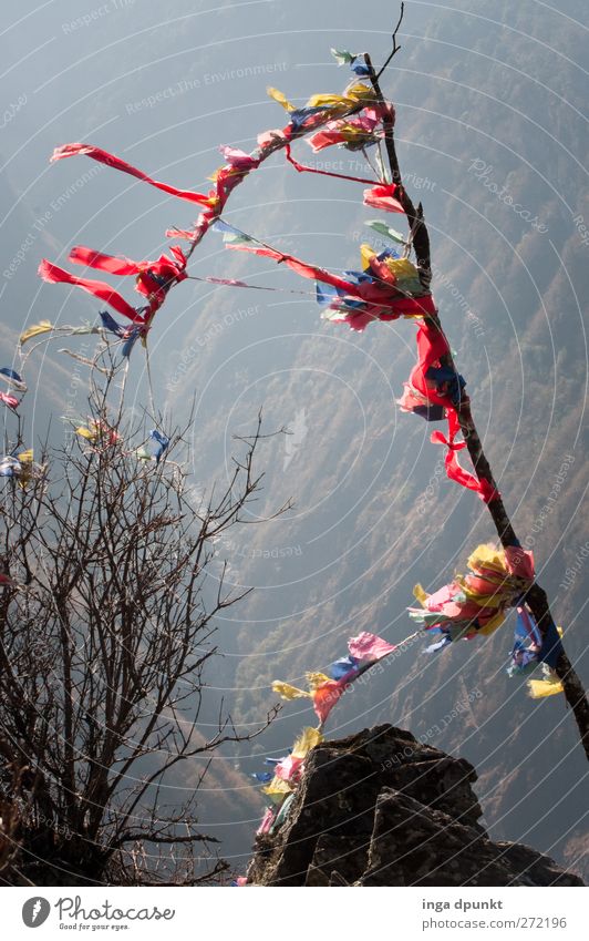 Gipfelsturm Umwelt Natur Landschaft Pflanze Urelemente Schönes Wetter Baum Felsen Berge u. Gebirge Schlucht China Yunnan Asien Fahne Fahnenmast außergewöhnlich