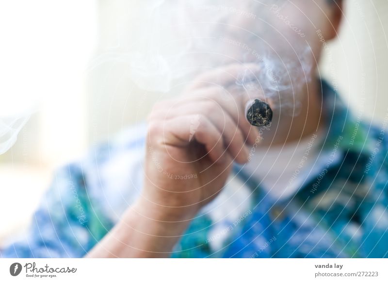 Raucher Mensch maskulin Mann Erwachsene Hand 1 45-60 Jahre Rauchen blau Coolness Reichtum Tod Sucht Drogensucht Zigarettenasche Havanna Zigarre Glut