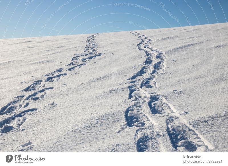 Spuren im Schnee sportlich Leben Wohlgefühl Winter Winterurlaub wandern Sport gehen Gesundheit Unendlichkeit Freude Zufriedenheit Freiheit Natur Berghang