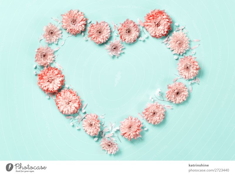 Herzzeichen aus Korallenblüten Design Dekoration & Verzierung Hochzeit Frau Erwachsene Mutter Kunst Blume oben rosa Kreativität Hintergrund Postkarte