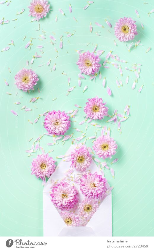 Umschlag mit Blumen Design Dekoration & Verzierung Hochzeit Frau Erwachsene Mutter Kunst Herz oben rosa Kreativität Hintergrund Postkarte Zusammensetzung