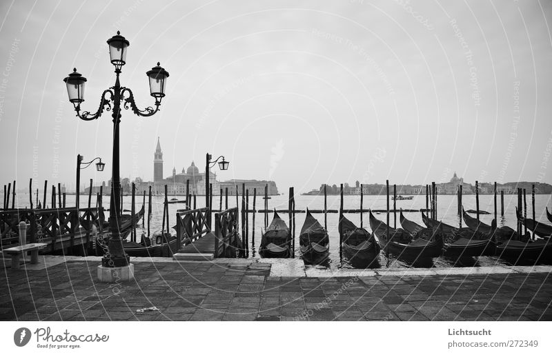 Gedanken zu Venedig Ferien & Urlaub & Reisen Tourismus Städtereise Meer Insel Kulturvolk Kultururlaub San Marco Italien Veneto Europa Hafenstadt Altstadt