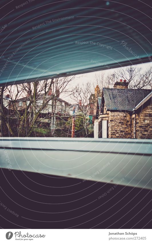 britischer Dachfensterausblick I England Großbritannien Haus Einfamilienhaus Fenster ästhetisch Fensterrahmen Jalousie Häusliches Leben Fensterblick Baum
