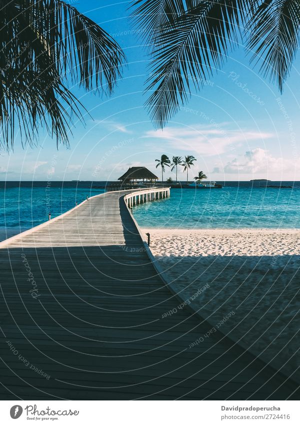 Malediven Insel Luxusresort Holzpier Anlegestelle Ferien & Urlaub & Reisen Lagune Idylle Reichtum Landschaft Küste tropisch Paradies exotisch Riff Aussicht