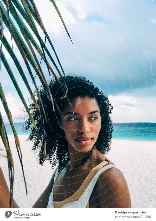 Frau auf der Malediveninsel Strand mit einem Palmenblatt schwarz Porträt urwüchsig schön Mädchen Blatt grün exotisch hübsch Ferien & Urlaub & Reisen Sand Meer