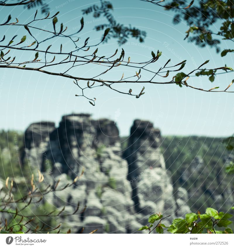ASTchen Ferien & Urlaub & Reisen Tourismus Umwelt Natur Landschaft Pflanze Urelemente Himmel Wolkenloser Himmel Frühling Klima Schönes Wetter Baum Felsen