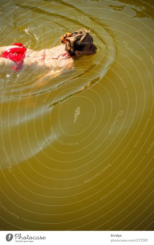 Brust schwimmende junge Frau mit einem roten Bikini in einem Badeteich feminin Junge Frau Jugendliche 1 Mensch Wasser Sommer See Schwimmen & Baden positiv schön