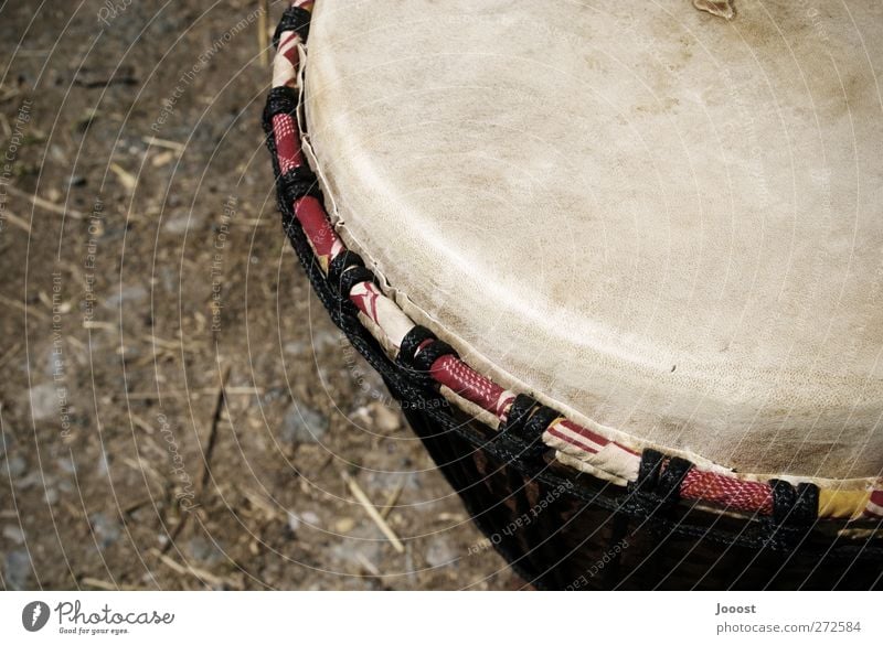 Djembe Freizeit & Hobby Musik Schlagzeug Trommel Trommelfell Afrikanische Trommel Instrument Musikinstrument Musik hören natürlich rund braun Warmherzigkeit
