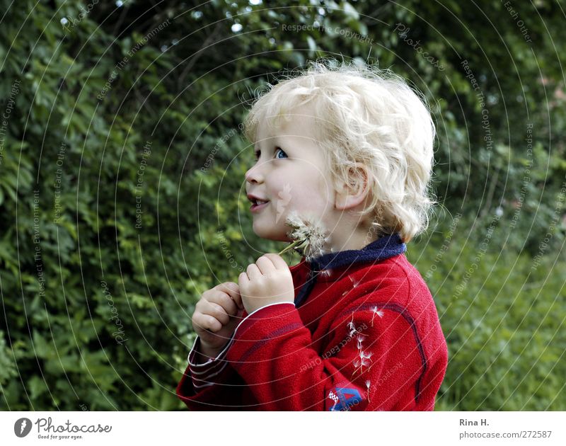 Mama guck mal ! Junge 1 Mensch 3-8 Jahre Kind Kindheit Frühling Schönes Wetter Jacke blond Locken Lächeln Spielen verblüht Fröhlichkeit Glück natürlich grün rot