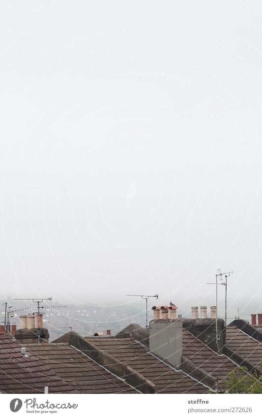 schönes Wetter in England Himmel schlechtes Wetter Nebel Brighton Hafenstadt Skyline Haus Einfamilienhaus Dach Schornstein Antenne trist ruhig Gedeckte Farben