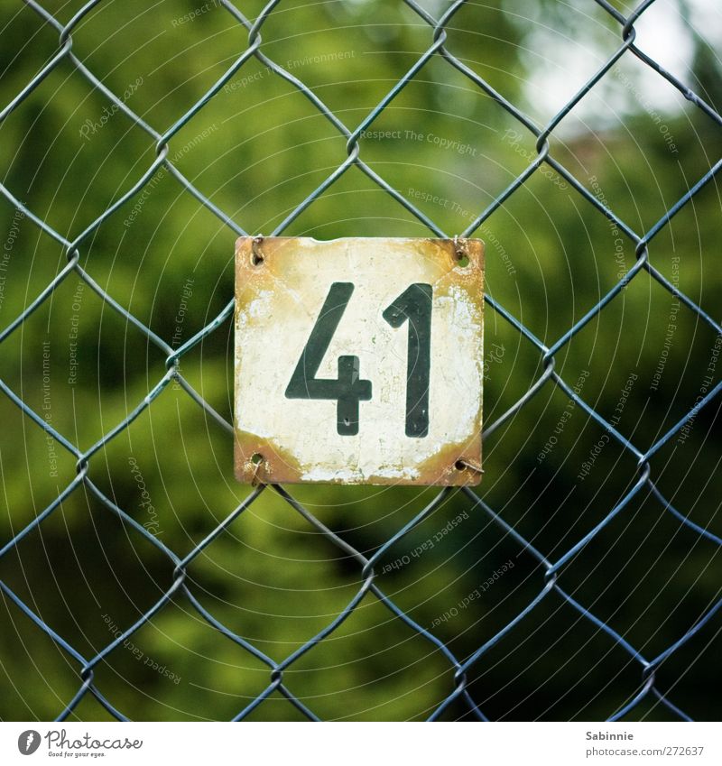 41 Maschendrahtzaun Hausnummer Nummernschild Ziffern & Zahlen Eingang Metall grün schwarz weiß Farbfoto mehrfarbig Außenaufnahme Nahaufnahme Detailaufnahme Tag