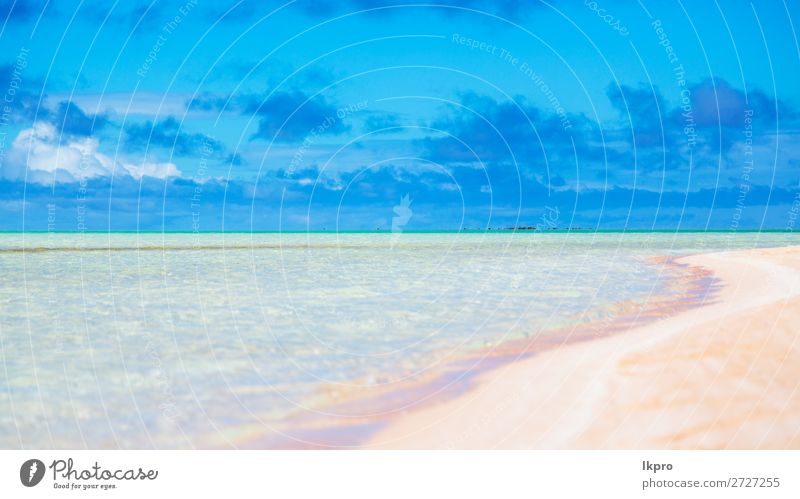 in Polynesien der rosa Sand der Küste Lifestyle Reichtum exotisch schön Erholung ruhig Ferien & Urlaub & Reisen Tourismus Kreuzfahrt Sommer Strand Meer Insel
