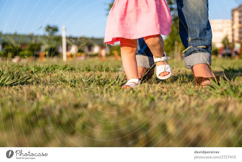 Baby-Mädchen, das lernt, über einen Rasenpark zu laufen. Lifestyle Freude Glück Freizeit & Hobby Sommer Garten Mensch Kleinkind Frau Erwachsene Mutter