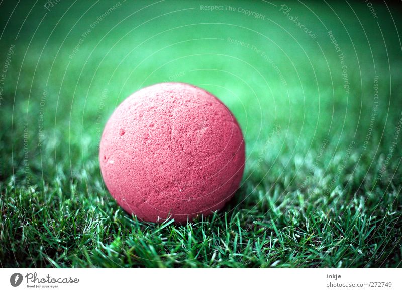 Der Ball ist rund. Spielen Gras liegen nah grün rot Freizeit & Hobby Vignettierung Farbfoto Außenaufnahme Nahaufnahme Menschenleer Tag Licht Kontrast