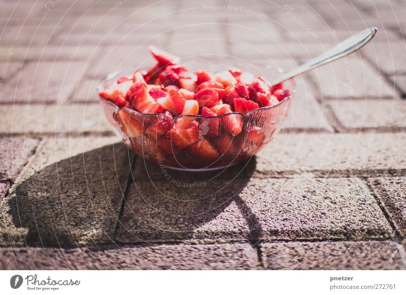 Erdbären Lebensmittel Frucht Ernährung Bioprodukte Vegetarische Ernährung lecker süß Erdbeeren Schalen & Schüsseln Löffel rot fruchtig Gesundheit