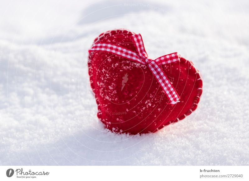 Gefrorenen Herz Feste & Feiern Valentinstag Winter Schnee Spielzeug wählen Liebe Fröhlichkeit rot Sympathie Freundschaft Romantik Idylle Lebensfreude Filz