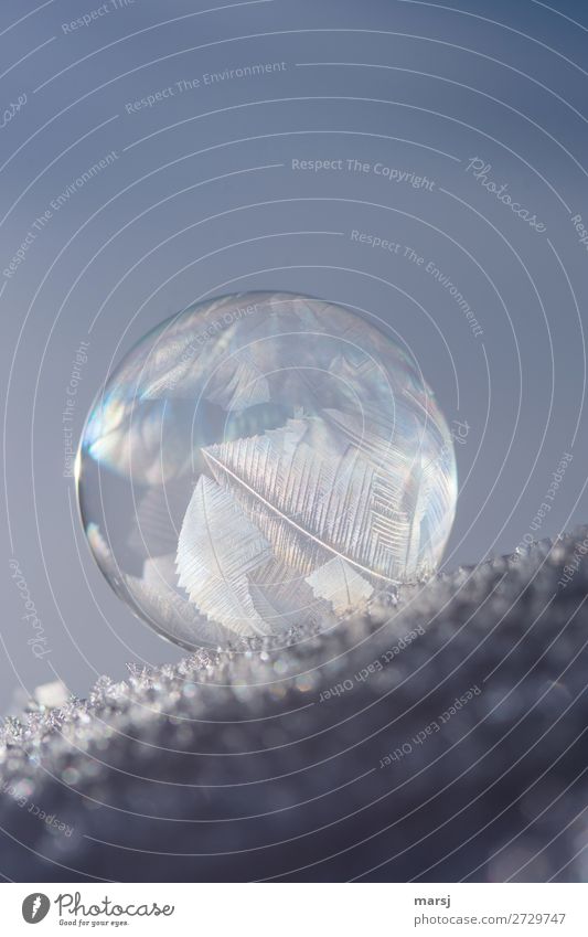 Auf die schiefe Bahn geraten Schnee Seifenblase Kristallstrukturen Kugel außergewöhnlich dünn authentisch einzigartig Reinheit bizarr rein Neigung gefroren