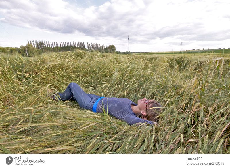 Ein Bett Im Kornfeld Ein Lizenzfreies Stock Foto Von Photocase