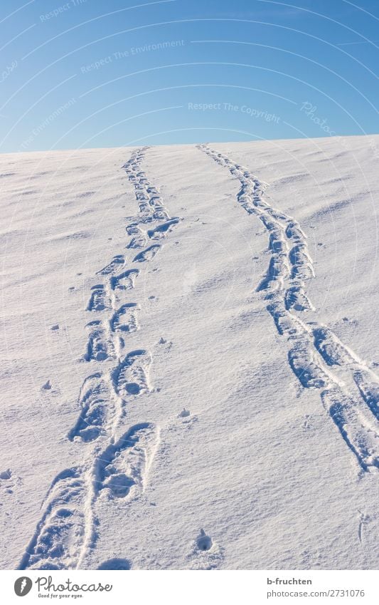 Schneeschuhwandern, Spuren im Schnee Leben Wohlgefühl Freizeit & Hobby Winter Winterurlaub Berge u. Gebirge Fußspur entdecken gehen Freundlichkeit frisch