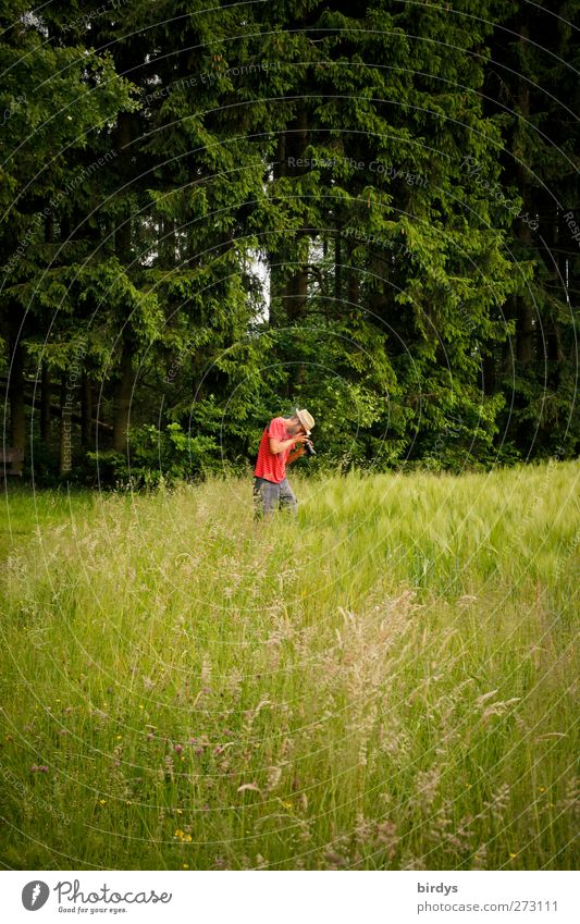 Wald und Wiesenfotograf Junger Mann Jugendliche Körper 1 Mensch 18-30 Jahre Erwachsene Natur Landschaft Frühling Sommer Baum natürlich Freude Neugier entdecken