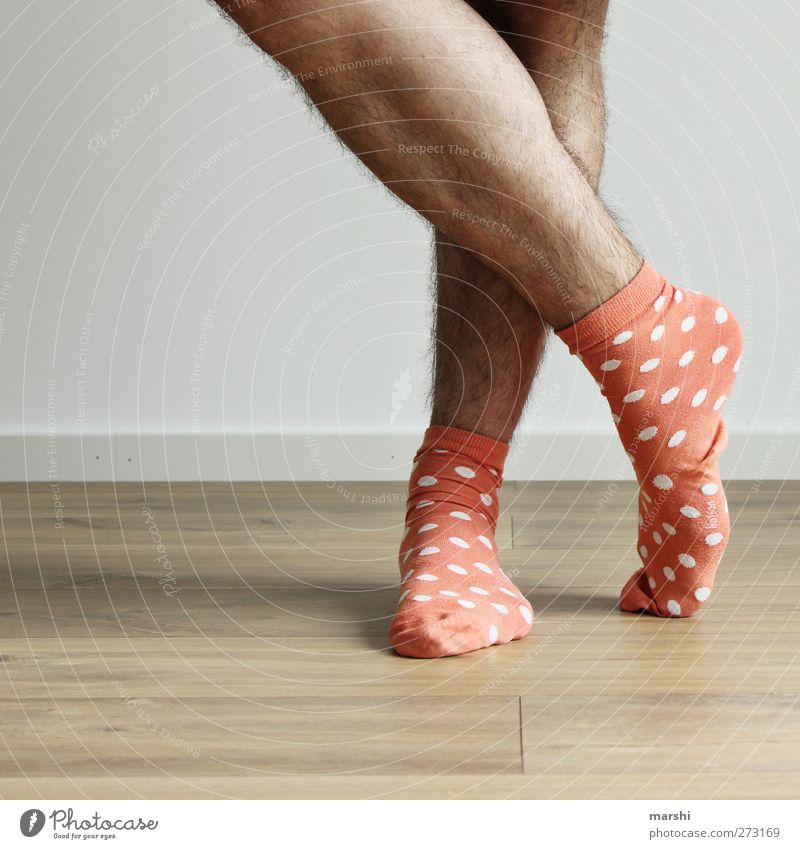 heute mal cool. Stil Mensch maskulin Junger Mann Jugendliche Erwachsene Beine Fuß 1 Mode Bekleidung Strümpfe Accessoire orange lustig gepunktet Behaarung