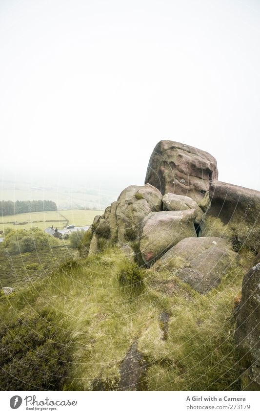 in the midst of things Umwelt Natur Landschaft Pflanze Frühling Klima schlechtes Wetter Nebel Regen Feld Hügel Felsen authentisch außergewöhnlich Ferne