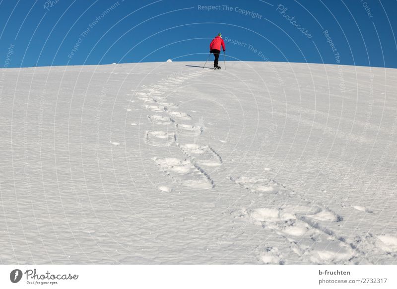 Schneeschuhwanderung sportlich Freizeit & Hobby Wintersport wandern Frau Erwachsene 1 Mensch Alpen Berge u. Gebirge Schneeschuhe gehen Sport Freiheit