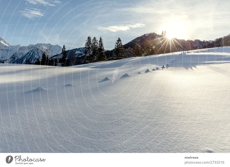 Schneelandschaft mit Sonnentiefstand Winter Winterurlaub Berge u. Gebirge wandern Brandnertal Natur Landschaft Himmel Wolken Sonnenlicht Schönes Wetter Eis