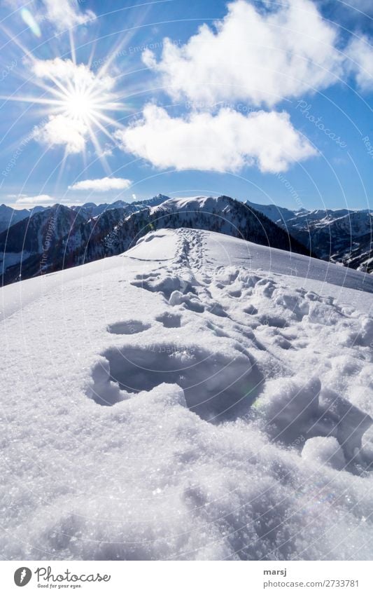 Abkühlung am Berg harmonisch Erholung ruhig Ferien & Urlaub & Reisen Tourismus Ausflug Abenteuer Freiheit Winter Schnee Berge u. Gebirge wandern Natur