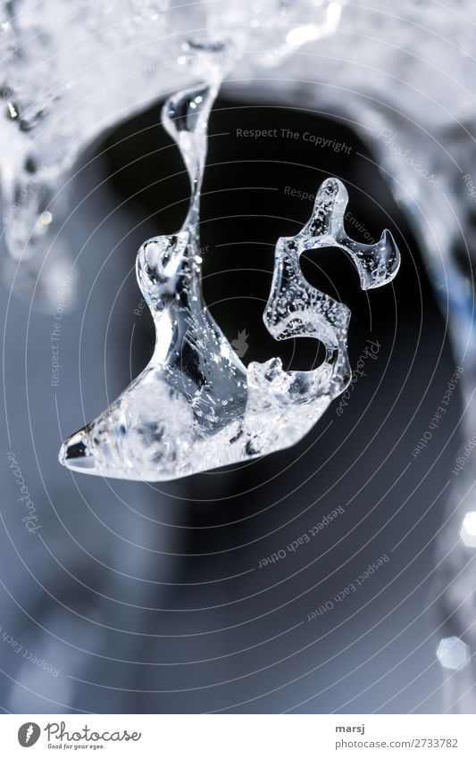 Ei-S-zapfen. Der Künstler heißt Natur! Winter Eis Frost Eiszapfen hängen außergewöhnlich elegant kalt klein rein seltsam gefroren Vergänglichkeit Farbfoto