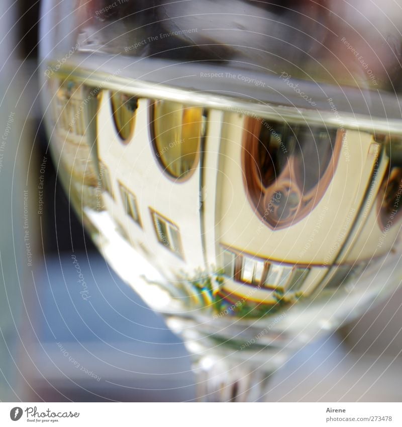 Sightseeing Getränk Alkohol Wein Weißwein Glas Weinglas Freude Freizeit & Hobby Städtereise Sommer trinken Freiburg im Breisgau Stadt Stadtzentrum Haus Bauwerk