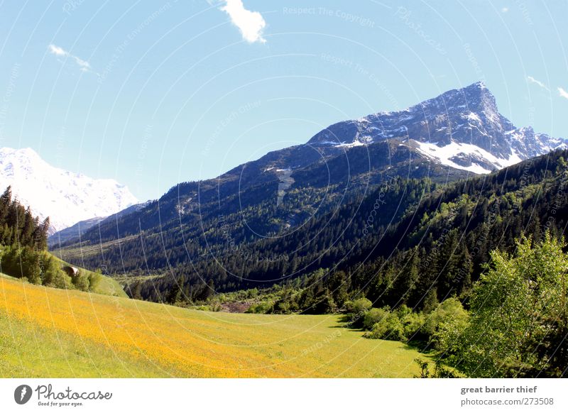 Berge Panorama harmonisch Wohlgefühl Zufriedenheit Erholung Natur Landschaft Wolkenloser Himmel Schönes Wetter Felsen Alpen Berge u. Gebirge Gipfel