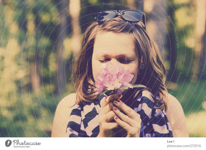 so riecht der Sommer feminin Junge Frau Jugendliche Schwester Haare & Frisuren 18-30 Jahre Erwachsene Natur Frühling Blume Wald brünett Sonnenbrille Schal