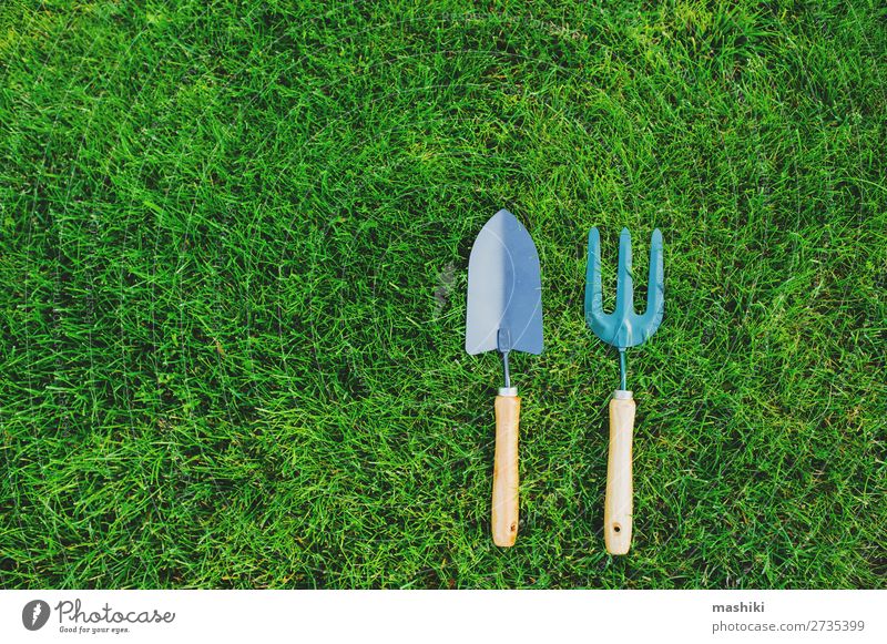 Gartengeräte auf grünem Rasengrund. Freizeit & Hobby Sommer Gartenarbeit Werkzeug Technik & Technologie Umwelt Natur Landschaft Pflanze Erde Gras Wachstum