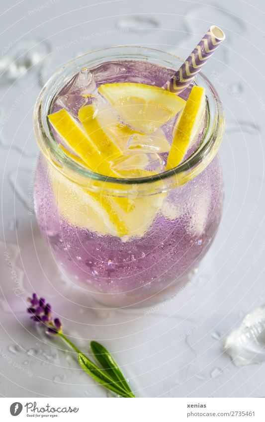 Kühles Aromawasser mit Lavendel, Zitrone, Eiswürfel und Trinkhalm auf heller Tischplatte mit Wassertropfen Getränk Erfrischungsgetränk Frucht Trinkwasser