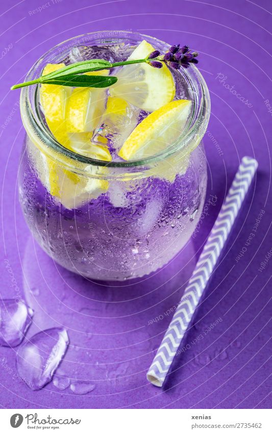 Eisgekühltes Lavendelwasser mit Zitrone, Lavendel und Trinkhalm auf violettem Grund Getränk Erfrischungsgetränk Frucht Kräuter & Gewürze Vitaminwasser