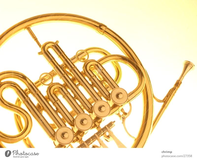 Horn Dinge Musikinstrument gold