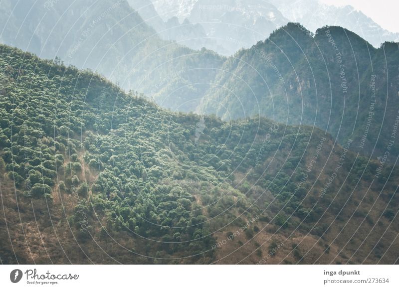 die grünen Berge von Meishan Umwelt Natur Landschaft Urelemente Frühling Schönes Wetter Nebel Pflanze Baum Wald Hügel Berge u. Gebirge China Sichuan