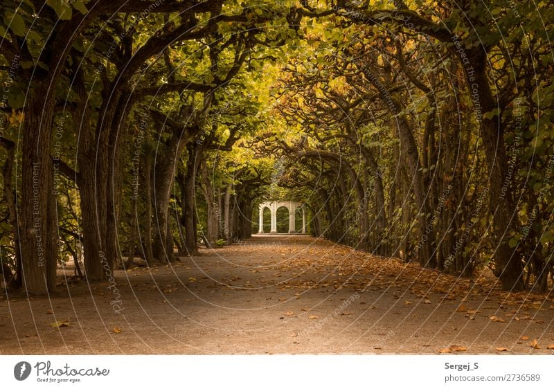 Pavillon Natur Sommer Herbst Schönes Wetter Baum Park Allee Bayreuth Deutschland Menschenleer alt historisch schön gelb gold orange Warmherzigkeit Romantik