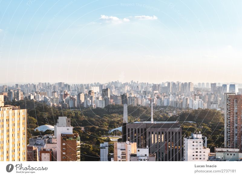 Erhöhte Aussicht auf den Ibirapuera Park in Sao Paulo, Brasilien (Brasilien) Haus Garten Büro Business Umwelt Natur Himmel Baum Gras Blatt Wald Stadtzentrum
