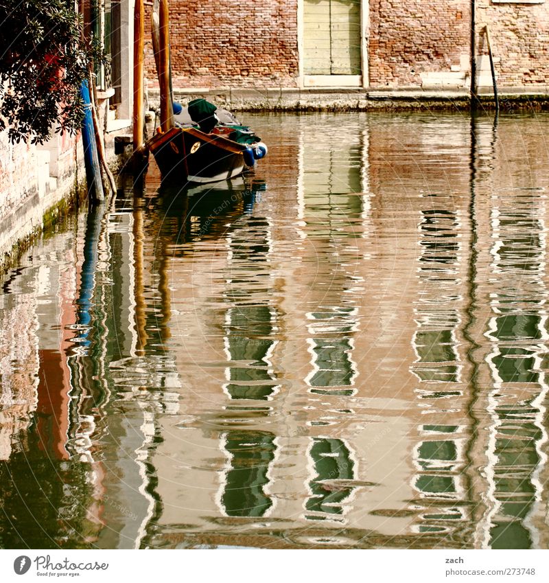 Am Wasser wohnen Pflanze Blume Küste Venedig Italien Fischerdorf Hafenstadt Altstadt Menschenleer Haus Architektur Mauer Wand Fassade Tür Bootsfahrt Fischerboot