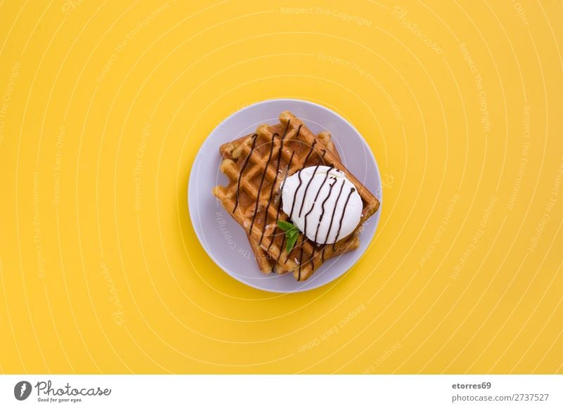 Waffel mit Schokoladensauce, Eis und Minze Dessert Speiseeis Belgier Belgien weiß süß Lebensmittel Gesunde Ernährung Foodfotografie Hintergrund Frühstück Wafer