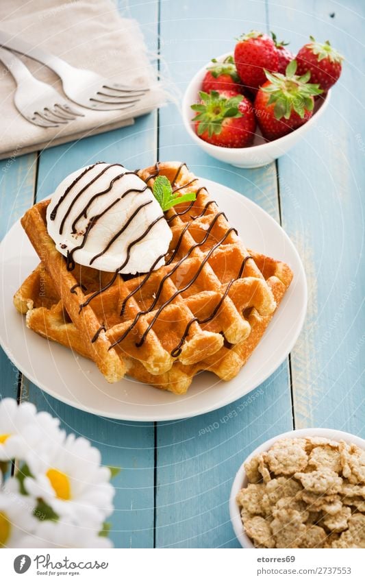 Belgisches Frühstück mit Waffeln und Eiscreme Dessert Speiseeis Belgier Belgien weiß süß Bonbon Lebensmittel Gesunde Ernährung Foodfotografie