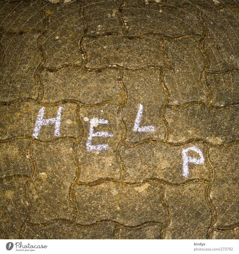 Help. Hilferuf  auf Pflastersteinen Schriftzeichen leuchten authentisch Verzweiflung Hilfsbereitschaft Strassenmalerei Hilfesuchend Kreidezeichnung