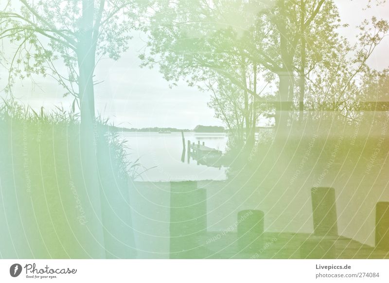 grünes Seeufer Kunst Künstler Maler Umwelt Natur Landschaft Wasser Himmel Wolken Pflanze Baum Gras Sträucher Wildpflanze Strand Brücke leuchten Lichtspiel