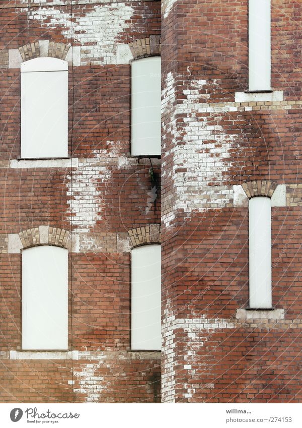 Salpeter-Feuchtgebiet Haus Bauwerk Gebäude Mauer Wand Fassade Fenster Backstein nass Verfall Vergänglichkeit Wandel & Veränderung Effloreszenz Ausblühung