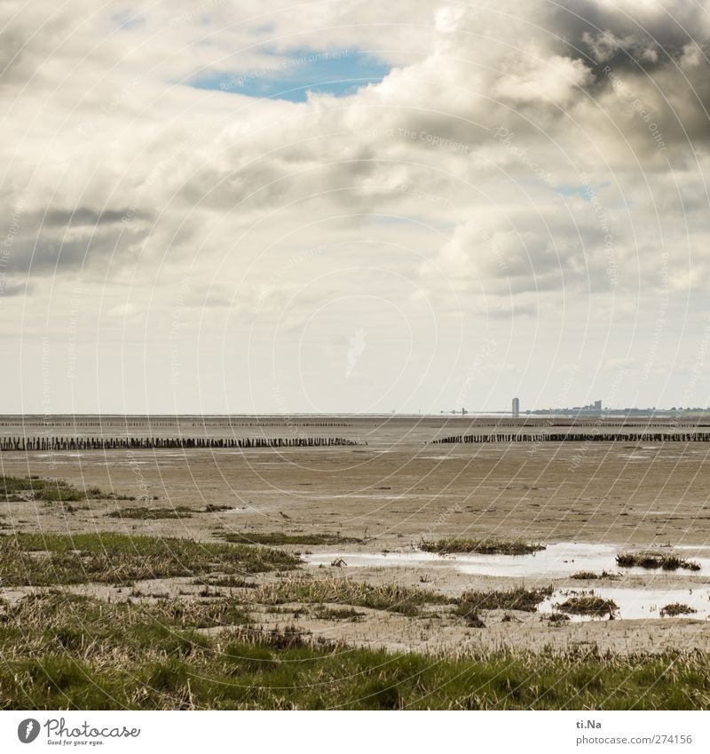 einfach mal die Seele baumeln lassen Umwelt Natur Landschaft Pflanze Tier Wasser Himmel Wolken Gewitterwolken Frühling Sommer Wetter Gras Küste Nordsee frei