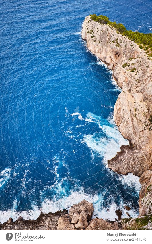 Blick die Klippe hinunter, Mallorca. Ferien & Urlaub & Reisen Abenteuer Expedition Sommer Meer Insel Natur Landschaft Felsen Küste blau herabblicken