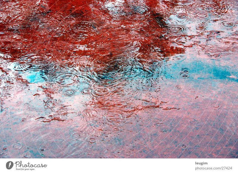 Rainy Morning Kreis rot schwarz Reflexion & Spiegelung Wasser Regen Bodenbelag Terasse