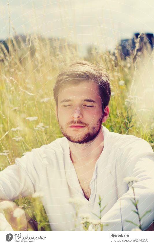 Sommerlicht Wohlgefühl Zufriedenheit Erholung ruhig Meditation Mensch maskulin Mann Erwachsene 1 18-30 Jahre Jugendliche Umwelt Natur Pflanze Sonne Sonnenlicht